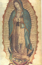 Our Lady of Guadelupe, Protectress of the unborn, pray for us!