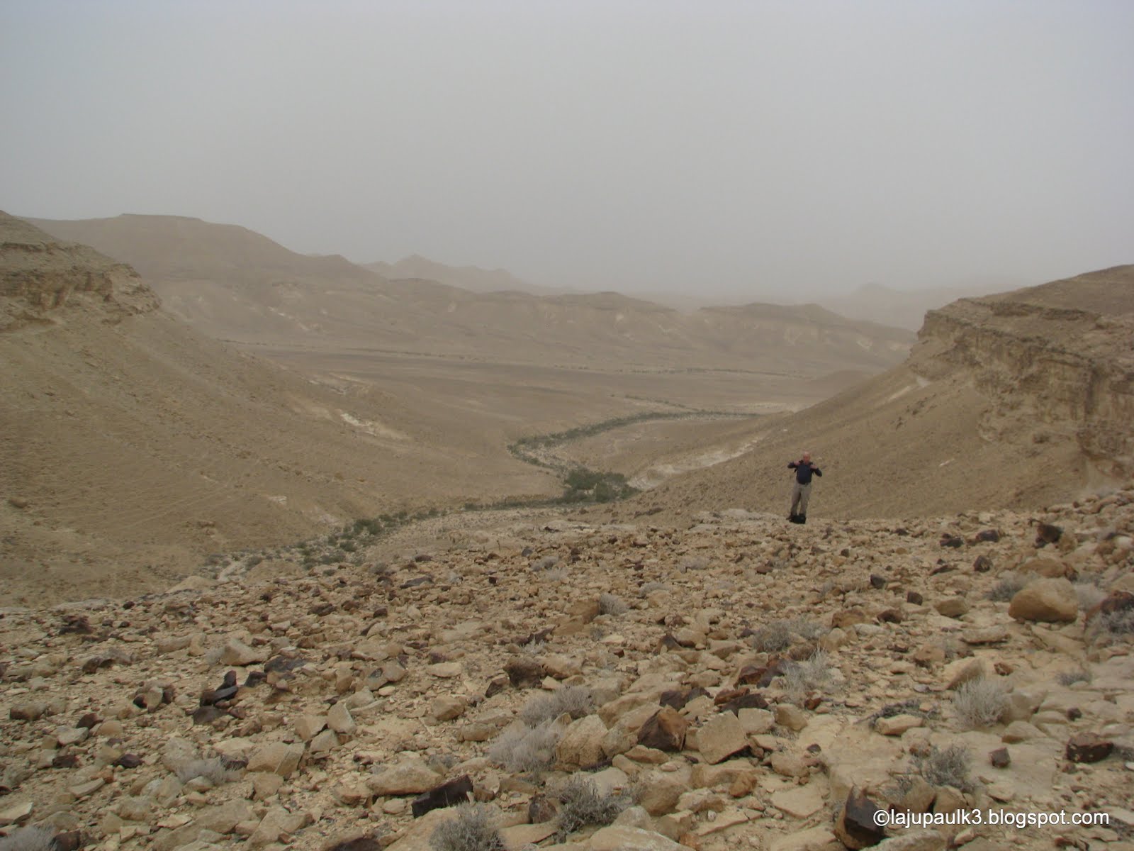 THROUGH THE LAND OF ISRAEL III: Hiking Mount Karkom and Surroundings Contd.