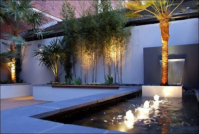 estanques y cascadas: November 2008