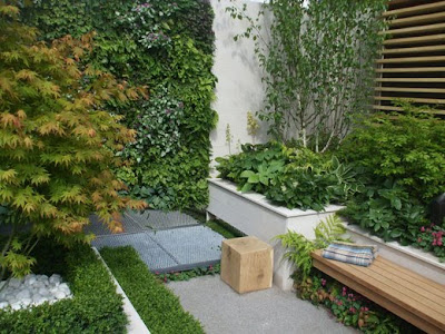 Casas Minimalistas y Modernas: PATIOS ACTUALES / Today Courtyards