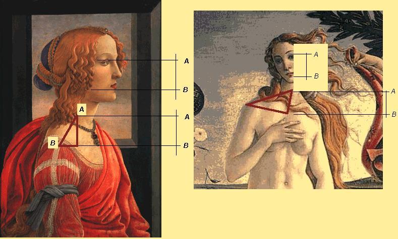 [botticelli_la_Bella_simoneta_Geometria.GIF]