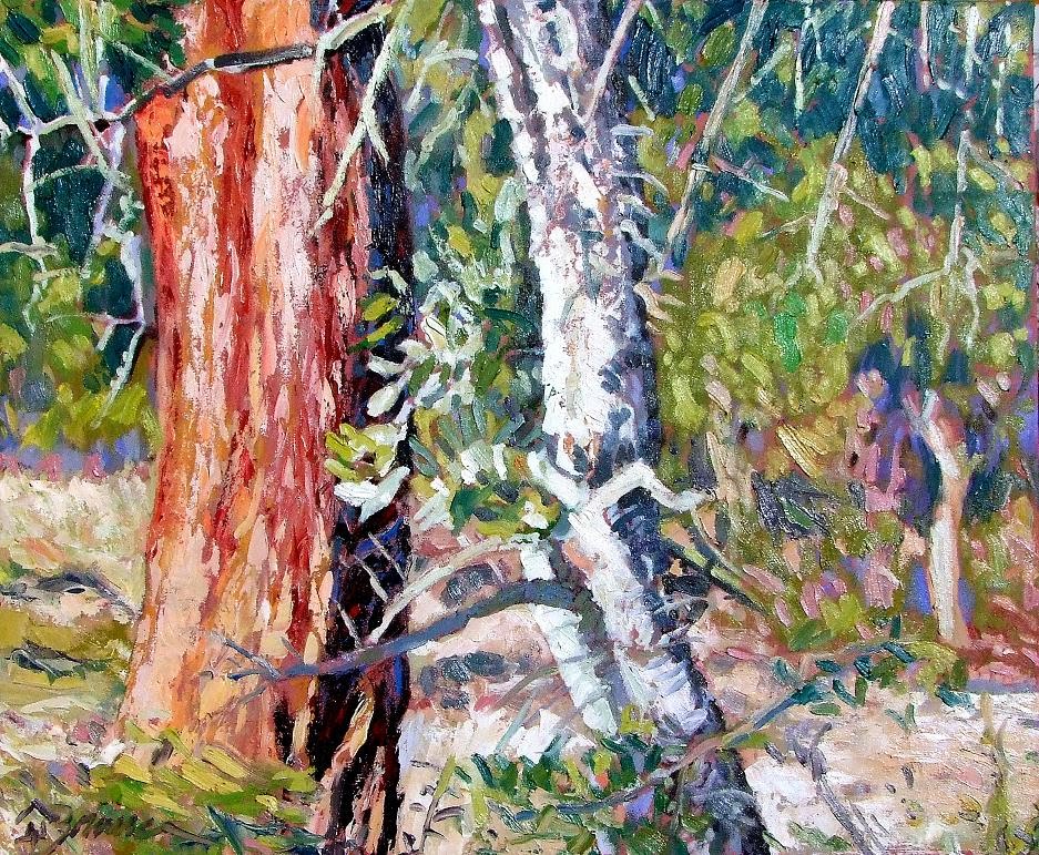 [quercus_suber+037p.JPG]