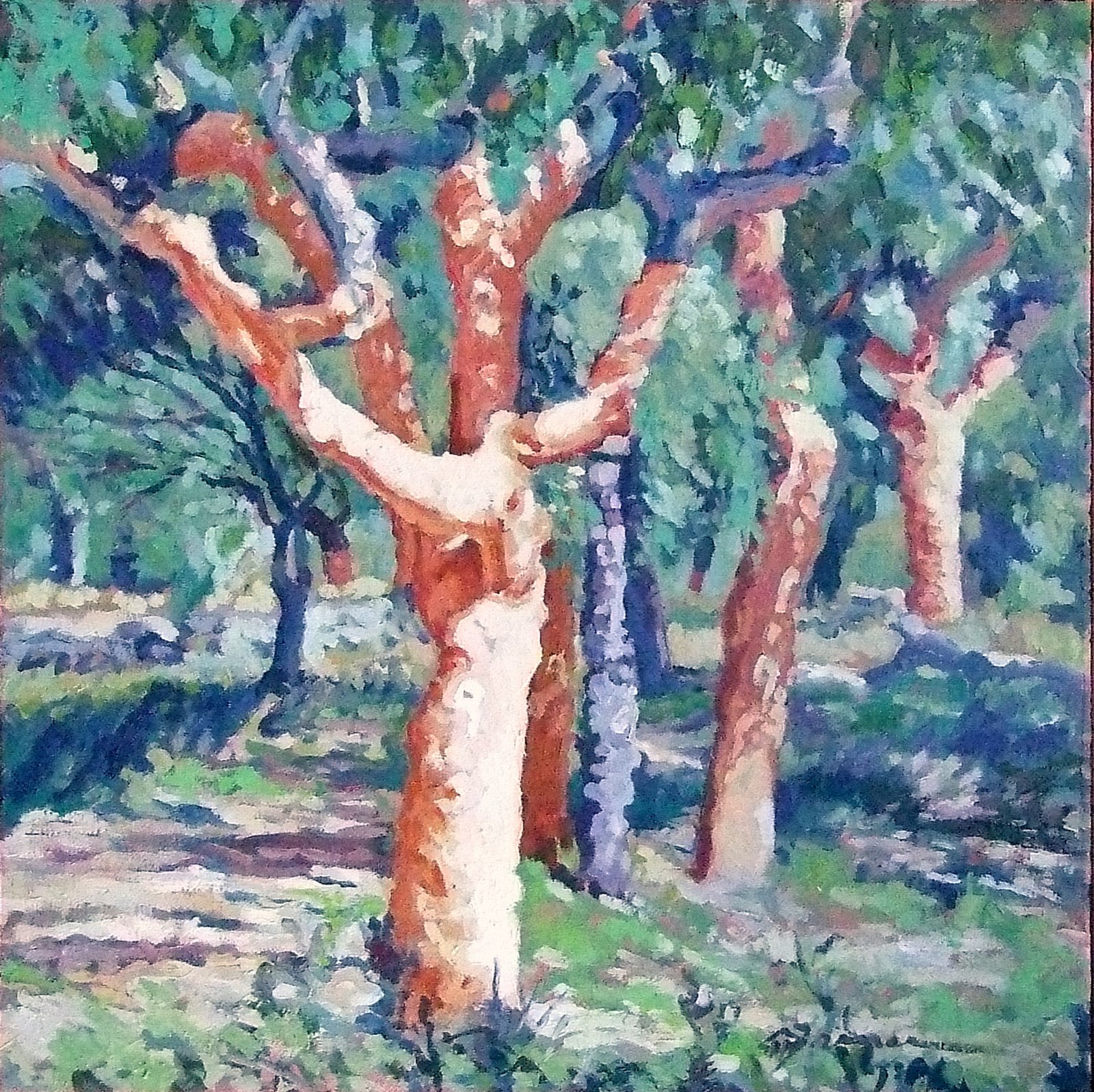 [quercus_suber_5_8_Vale+de+Mós.jpg]