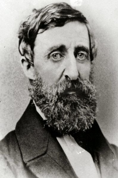 [397px-Henry_David_Thoreau_2.jpg]