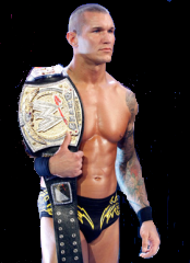 CAMPEON DE LA WWE