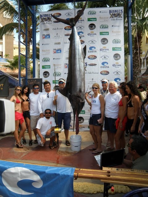 Cabo Fishing Tournament Results: Picante Scores First Marlin of Tournament