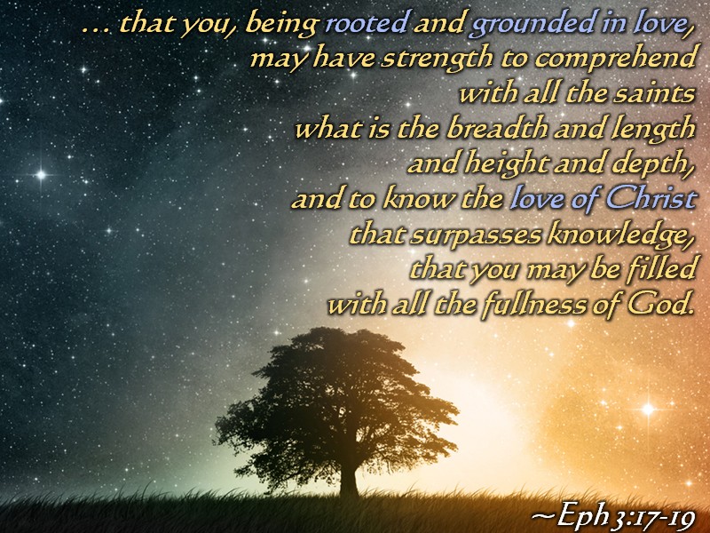 Songs Scriptures Ephesians 3 14 21 For This Reason songs-scriptures-ephesians-3-14-21-for-this-reason