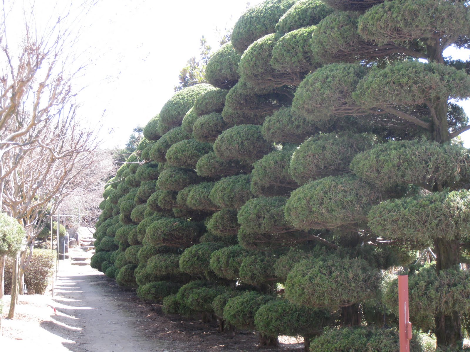 [IMG_2402.JPG]
