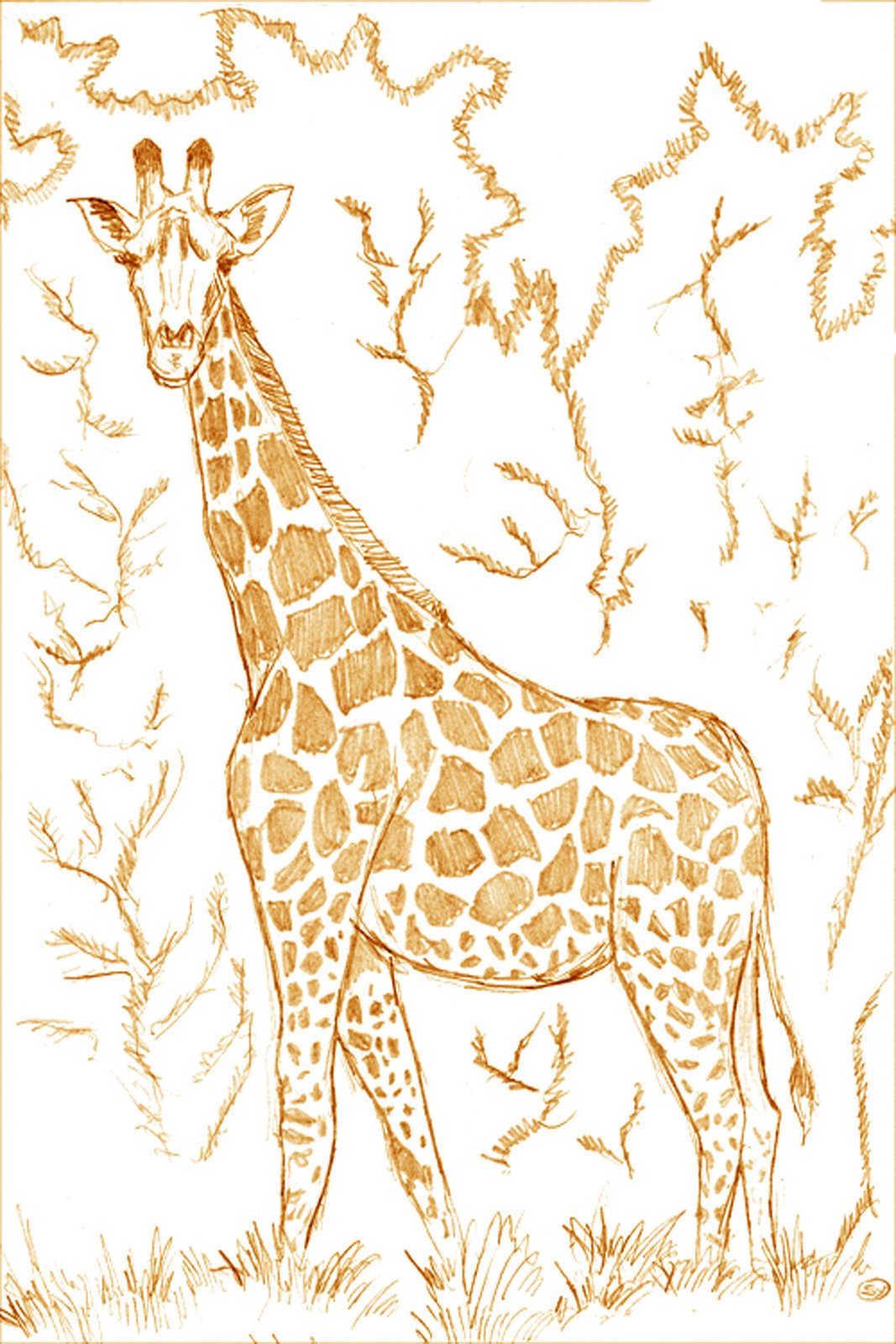 [Giraffe-(Color).jpg]