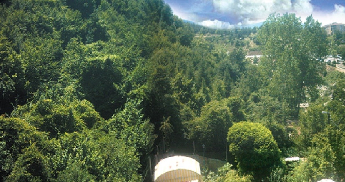 BURSA BALIK LOKANTALARI,,BURSA ALABALIK TESISLERİ GİZLİ VADİ ALABALIK