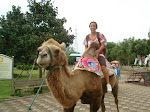KC on a camel