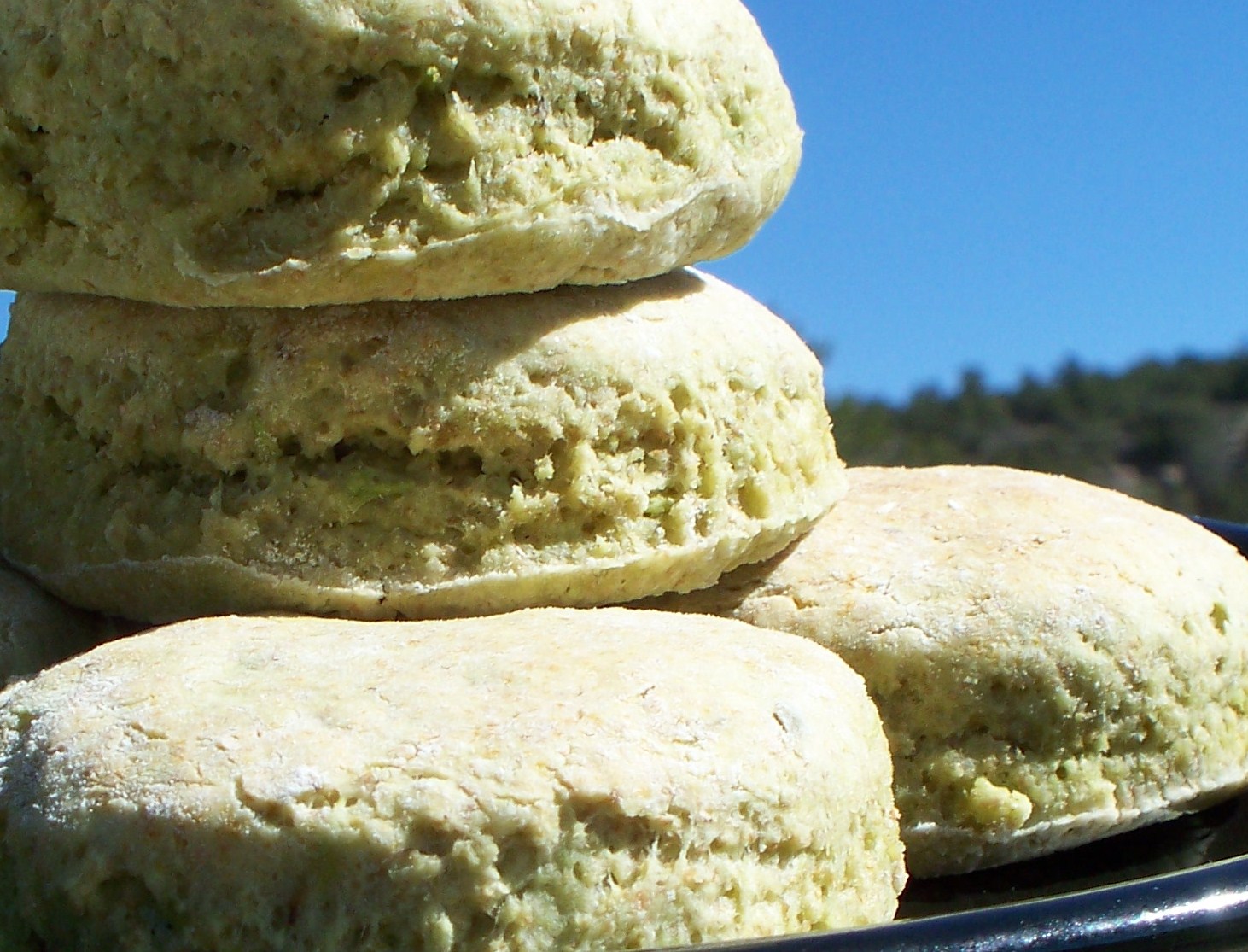 The Kitchen Enchantress Cooks!: For the True Avocado Lover!