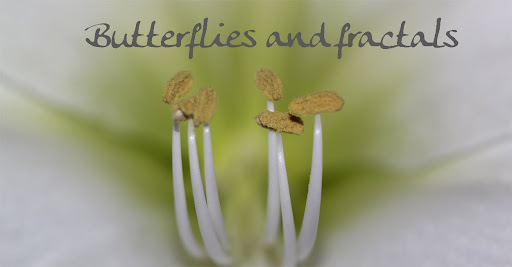 Butterflies and fractals...