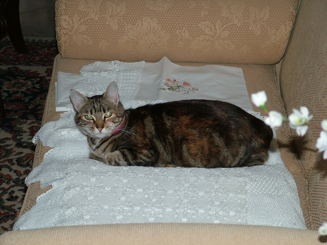 [DSCF4390.JPG]