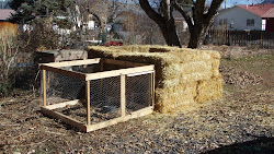 chicken woods cabin