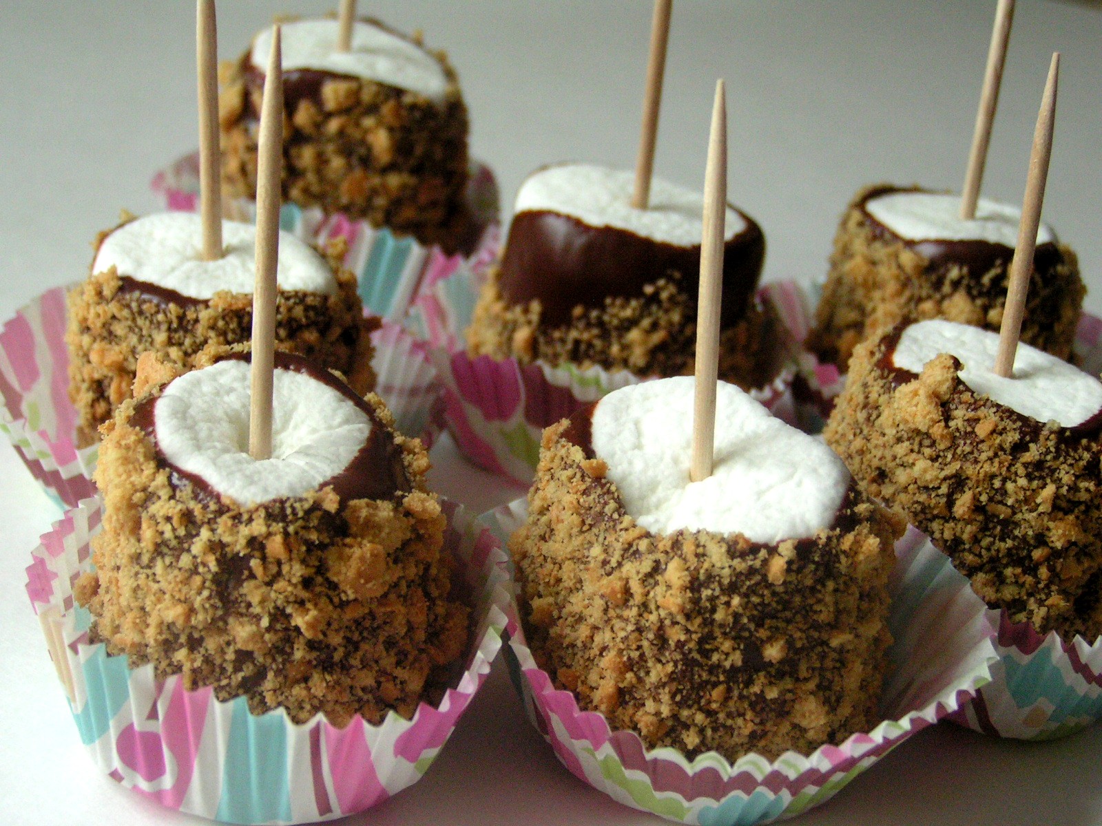 Recipes S'mores on a Stick