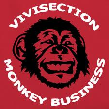 monkey busssiness