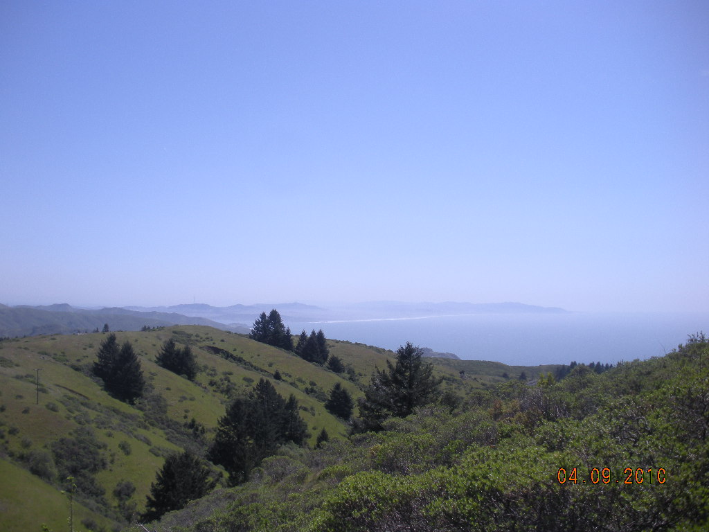 Westward Bound Muir Woods and Stinson Beach