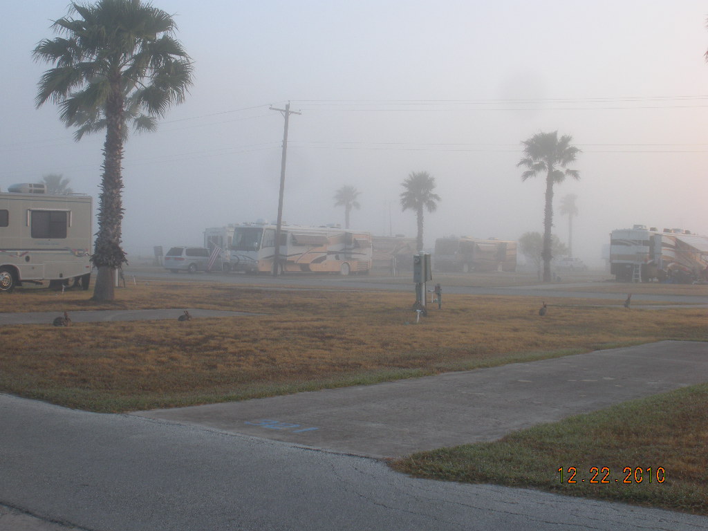 Westward Bound Harlingen weather....