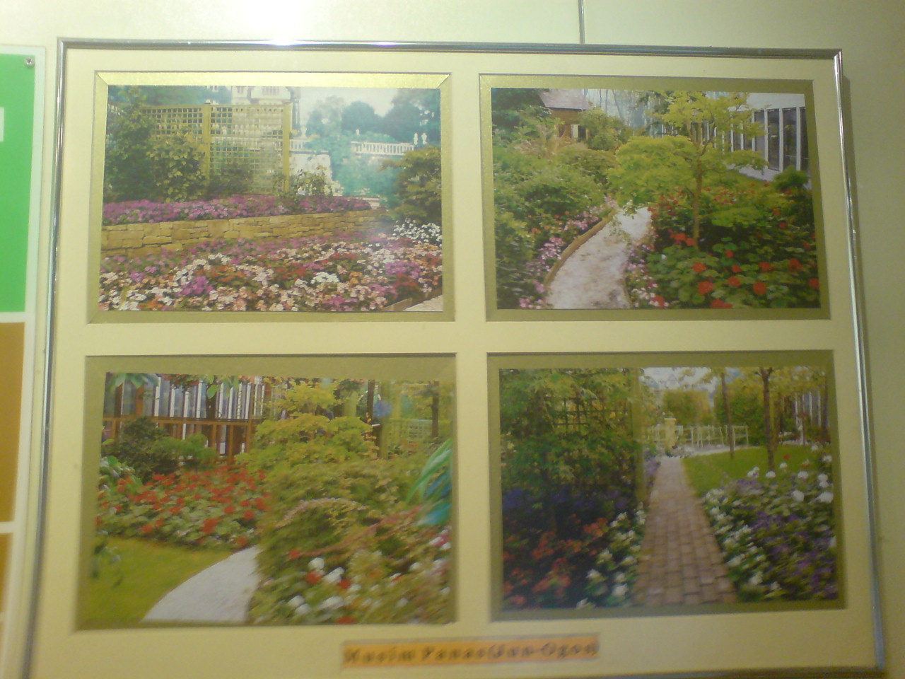 [DSC00421.JPG]