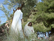 3. Gesù nell'orto di Getsemani