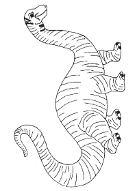 Dinosaurs pokemon coloring pages | Coloring Pages Gallery