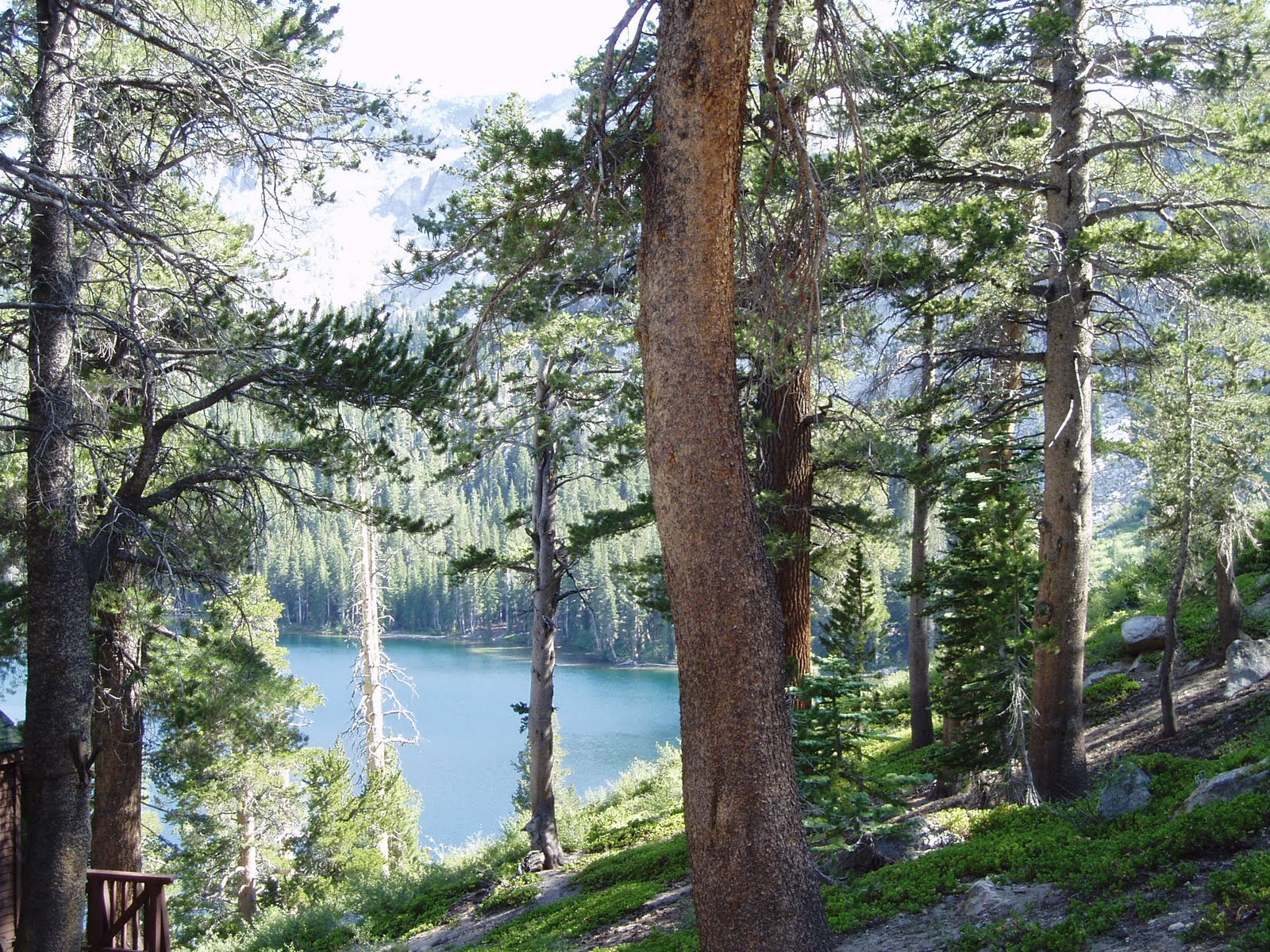 [Mammoth'09+006.JPG]