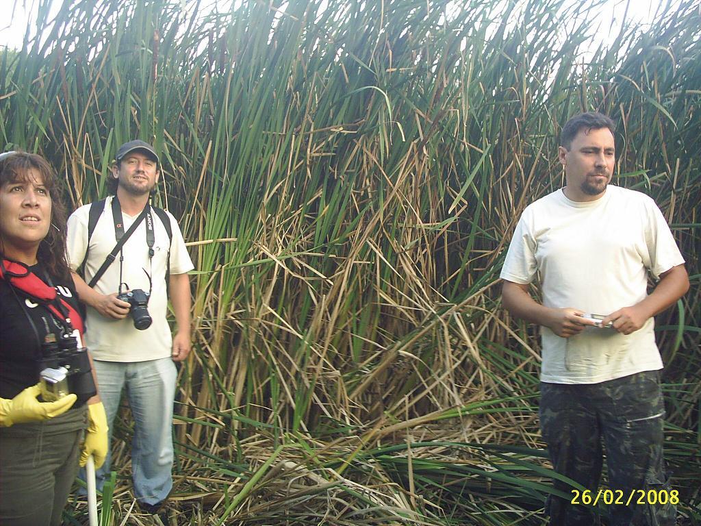 [ferreiraviana6.jpg]