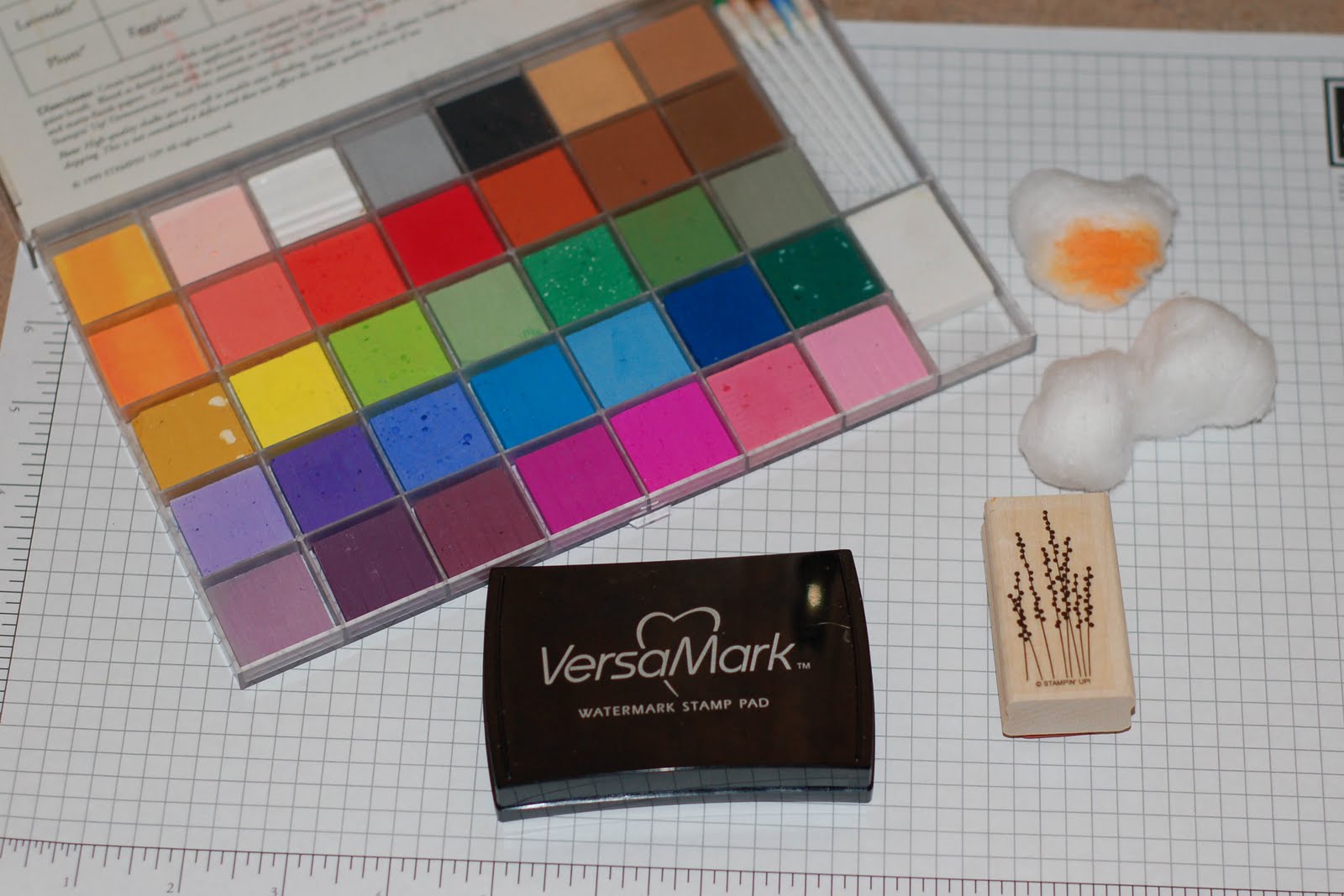 Stamping 411 How To Use Versamark, A tutorial by Featured Stamper Lynn