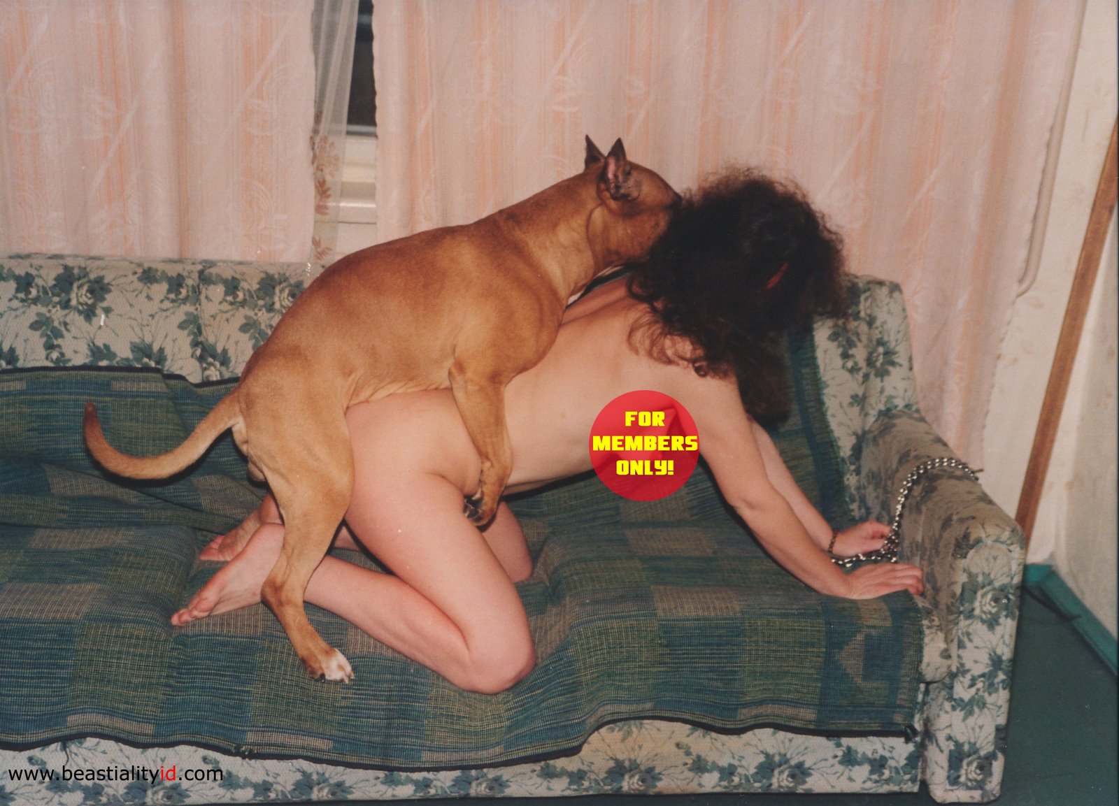 Her dog порно фото 69