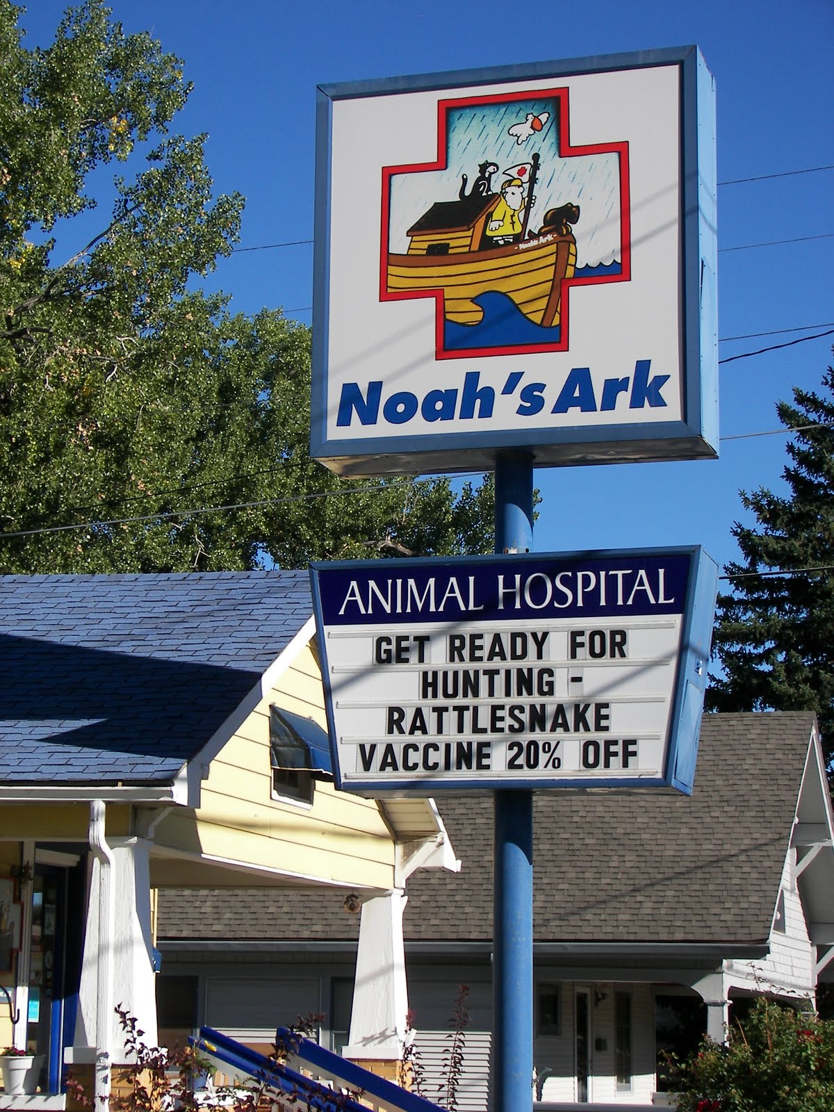 Questions On Dogs and Cats PETFRIENDLY GARDEN PLANNING....