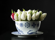 Tulipani (bello il film Pane e tulipani l'avete visto?)