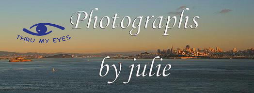Photographs by julie