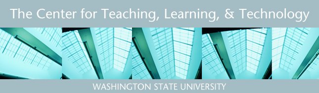 Center for Teaching, Learning, & Technology