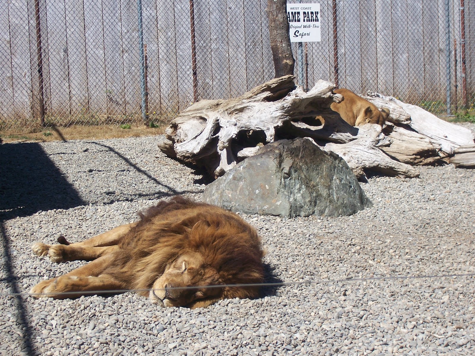 Join Lindy's 2010 RV Fun Game Park Safari in Bandon Oregon