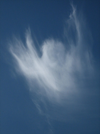 [20070514105604_angel+cloud.jpg]
