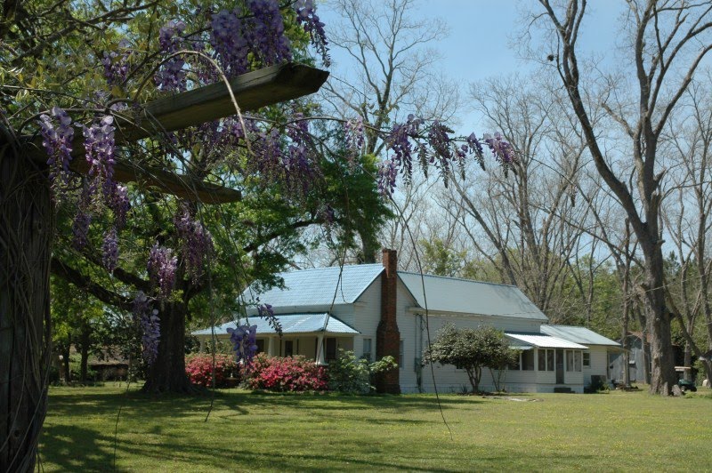 Suwannee Valley Properties, Inc. FOR SALE Lost River Plantation, 1908
