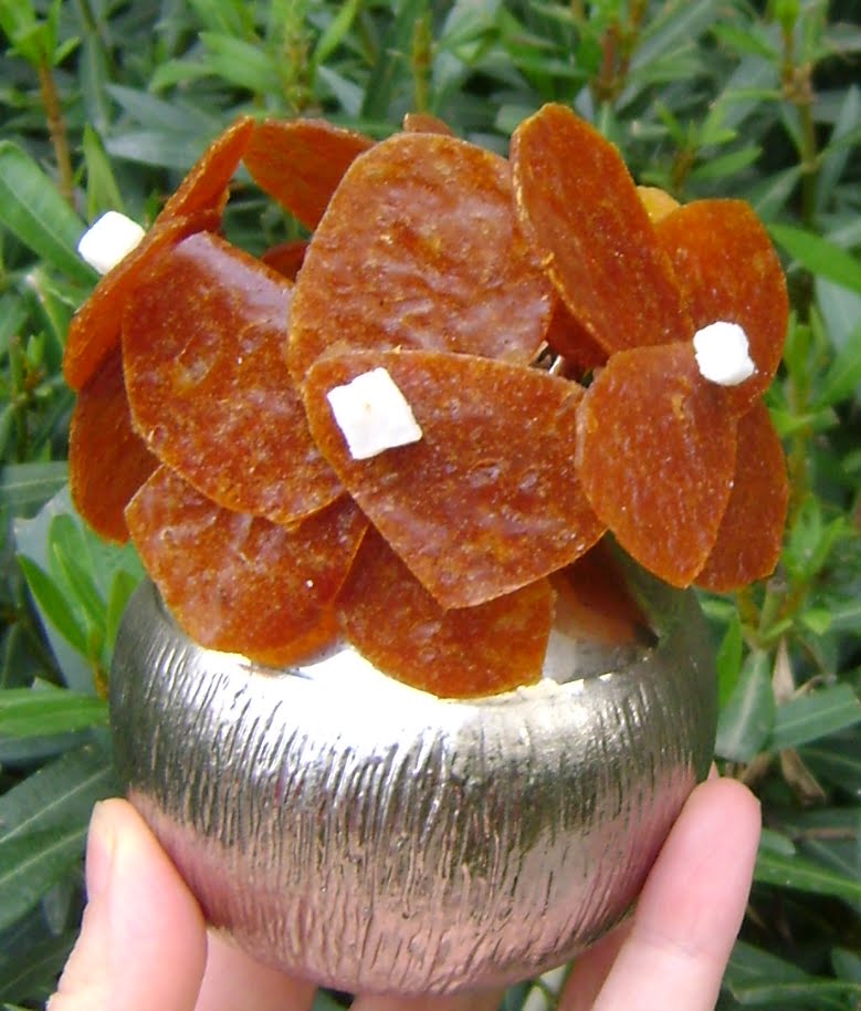 Cooking Outside the Box Fruit Leather Flowers