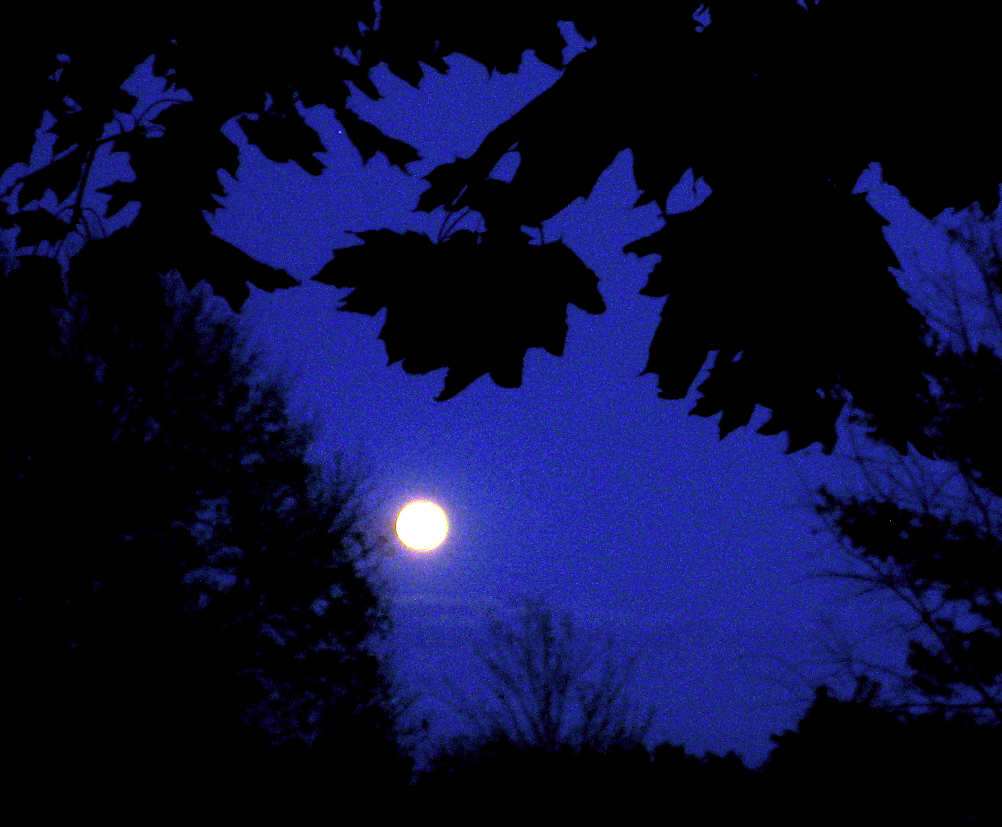 Cuban In The Midwest Full Moon Last Night the-moon-last-night-r-spiritualawakening