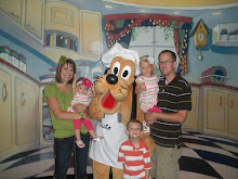 Disneyland 2010