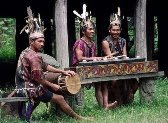 The Dayak Kalimantan Musician