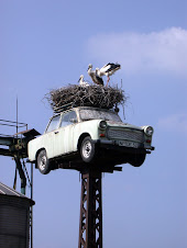 After the collapse of communism Trabi is used as a nest