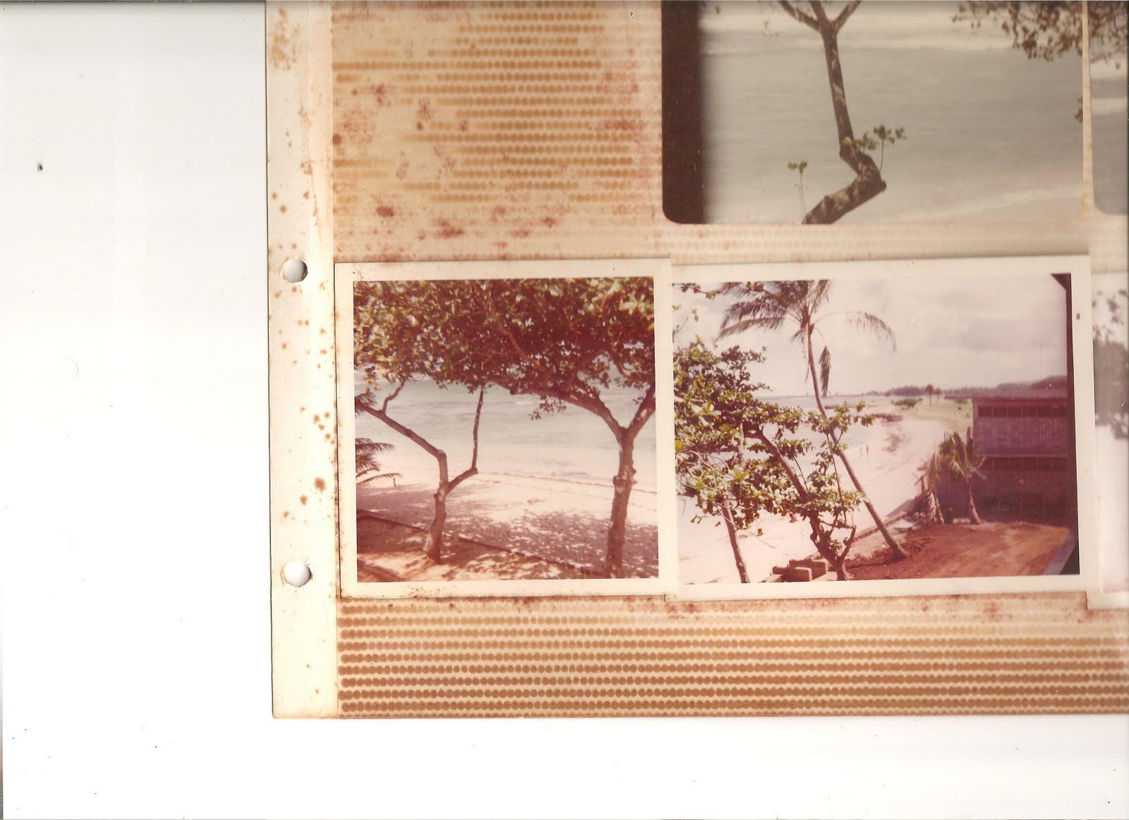 Haleiwa Surf Condos February 2010