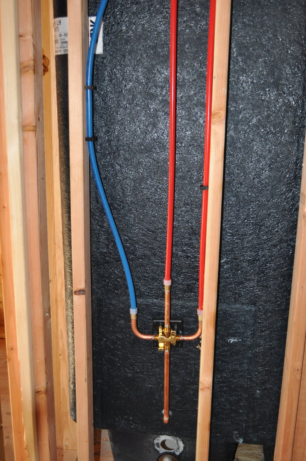 The Grange House June 2010