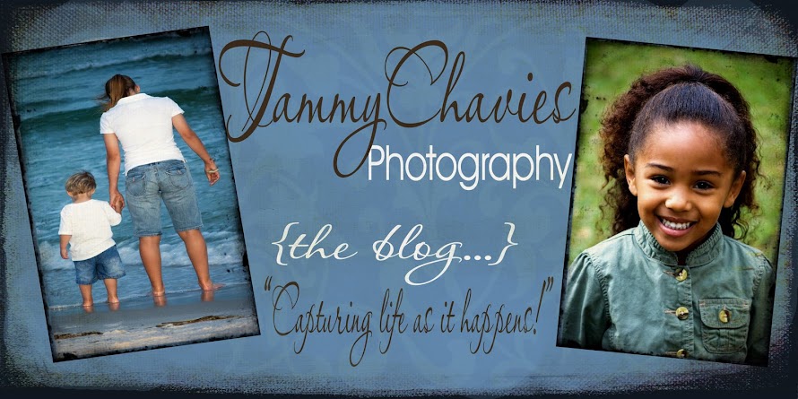 Tammy Chavies Photography