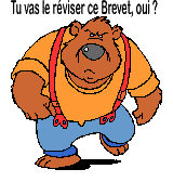 [brevet_revision.gif]