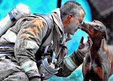 cadela agradece ao bombeiro que a salvou das chamas