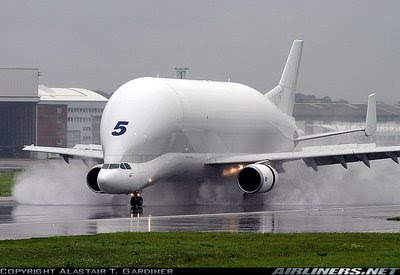 airbusbeluga7.jpg airbusbeluga7.jpg