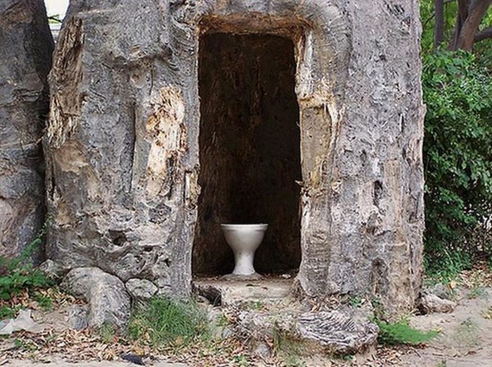 [tree_toilet_04.jpg]