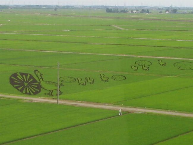 [Rice_Field_Art_17.jpg]